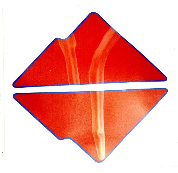 Hercules GT Aufkleber Rot Sticker Dekor Lacksatz