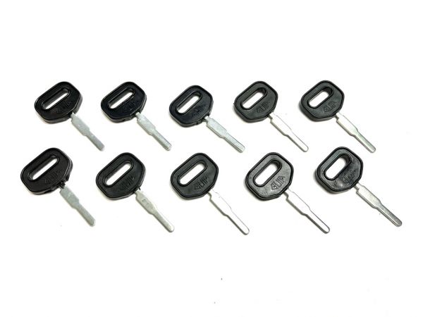 10er Pack Zündschlüssel mit Loch / Standard